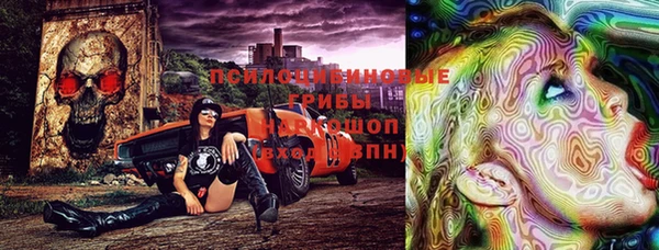 шишки Балабаново