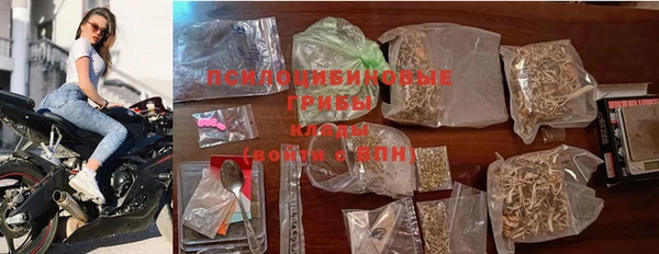 дурь Белоозёрский